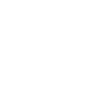 Insurance Icon